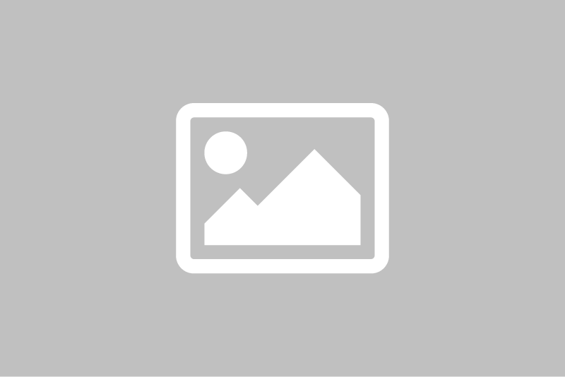 dresden 2